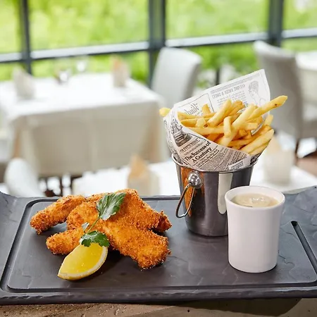 호텔 사이먼스 플라자 그레벤마허