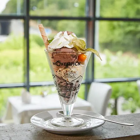 사이먼스 플라자 4* 그레벤마허