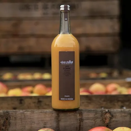 사이먼스 플라자 4* 그레벤마허