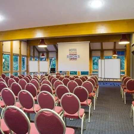 사이먼스 플라자 4* 그레벤마허